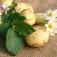 Organic agriculture